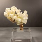 CAM KAİDELİ MERCAN